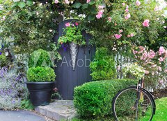 Fototapeta100 x 73  Small charming garden gate., 100 x 73 cm