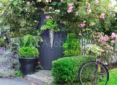 Fototapeta pltno 240 x 174, 43504647 - Small charming garden gate. - Mal okouzlujc zahradn brna.