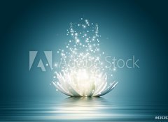 Samolepka flie 100 x 73, 43535323 - Lotus flower