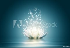 Samolepka flie 145 x 100, 43535323 - Lotus flower - lotosov kvt