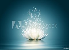Fototapeta plátno 160 x 116, 43535323 - Lotus flower - lotosový květ