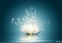 Fototapeta papr 184 x 128, 43535323 - Lotus flower - lotosov kvt