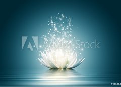 Samolepka flie 200 x 144, 43535323 - Lotus flower - lotosov kvt