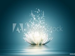 Samolepka flie 270 x 200, 43535323 - Lotus flower - lotosov kvt