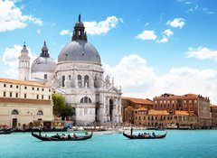 Samolepka flie 100 x 73, 43614176 - Grand Canal and Basilica Santa Maria della Salute, Venice, Italy