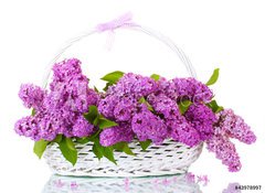 Fototapeta100 x 73  beautiful lilac flowers in basket isolated on white, 100 x 73 cm