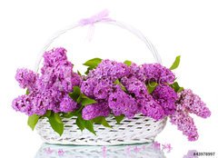 Fototapeta160 x 116  beautiful lilac flowers in basket isolated on white, 160 x 116 cm