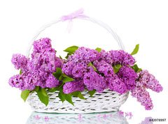 Fototapeta330 x 244  beautiful lilac flowers in basket isolated on white, 330 x 244 cm