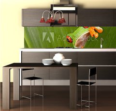 Fototapeta do kuchyn flie 260 x 60  red eyed tree frog peeping, 260 x 60 cm