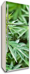 Samolepka na lednici flie 80 x 200  marijuana, 80 x 200 cm