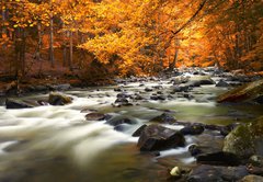 Fototapeta145 x 100  Autumn landscape with trees and river, 145 x 100 cm