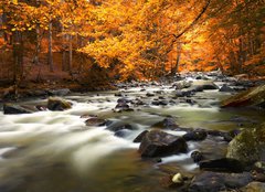 Fototapeta papr 160 x 116, 44082572 - Autumn landscape with trees and river