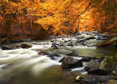 Fototapeta200 x 144  Autumn landscape with trees and river, 200 x 144 cm