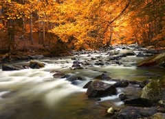 Fototapeta240 x 174  Autumn landscape with trees and river, 240 x 174 cm