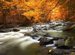Samolepka flie 270 x 200, 44082572 - Autumn landscape with trees and river
