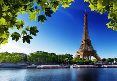 Fototapeta papr 184 x 128, 44176094 - Seine in Paris with Eiffel tower