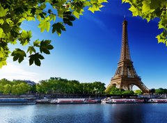 Fototapeta pltno 330 x 244, 44176094 - Seine in Paris with Eiffel tower