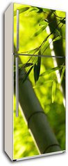 Samolepka na lednici flie 80 x 200  Bamboo forest background. Shallow DOF, 80 x 200 cm