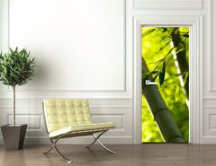 Samolepka na dvee flie 90 x 220  Bamboo forest background. Shallow DOF, 90 x 220 cm