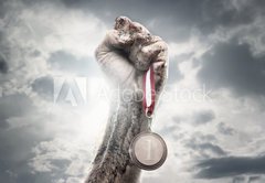 Fototapeta145 x 100  Male hand holding gold medal against the dramatic sky, 145 x 100 cm