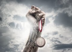 Fototapeta vliesov 200 x 144, 44192642 - Male hand holding gold medal against the dramatic sky