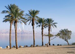 Fototapeta pltno 240 x 174, 44209054 - Dead Sea - Mrtv moe