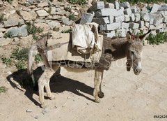 Samolepka flie 200 x 144, 44262409 - Esel von trauriger Gestalt