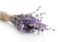 Samolepka flie 100 x 73, 44291419 - Lavender flowers isolated on white