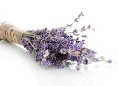 Samolepka flie 100 x 73, 44291419 - Lavender flowers isolated on white - Levandule kvtiny izolovanch na blm