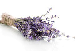 Samolepka flie 145 x 100, 44291419 - Lavender flowers isolated on white - Levandule kvtiny izolovanch na blm