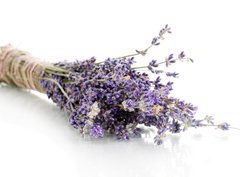 Fototapeta pltno 330 x 244, 44291419 - Lavender flowers isolated on white