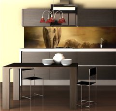 Fototapeta do kuchyn flie 260 x 60  Elephants at sunset, 260 x 60 cm
