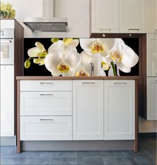 Fototapeta do kuchyn flie 180 x 60  White orchids on the black background, 180 x 60 cm
