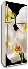 Samolepka na lednici flie 80 x 200  White orchids on the black background, 80 x 200 cm