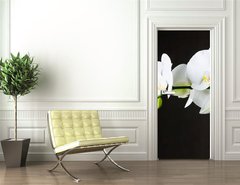 Samolepka na dvee flie 90 x 220, 44550802 - Close-up of white orchids (phalaenopsis) against dark background