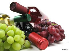 Fototapeta vliesov 270 x 200, 4460273 - bottles of wine with grapes