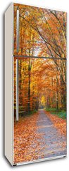 Samolepka na lednici flie 80 x 200  Pathway in the autumn forest, 80 x 200 cm