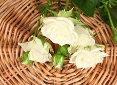 Fototapeta pltno 160 x 116, 44718404 - Beautiful white roses on wicker mat close-up