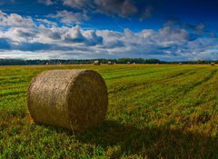 Fototapeta100 x 73  Bale of Straw, 100 x 73 cm