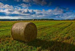 Fototapeta145 x 100  Bale of Straw, 145 x 100 cm