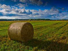 Fototapeta vliesov 270 x 200, 44784749 - Bale of Straw