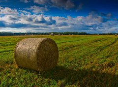 Fototapeta360 x 266  Bale of Straw, 360 x 266 cm