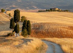 Samolepka flie 100 x 73  Tuscan countryside at sunset, near Pienza, Tuscany, Italy, 100 x 73 cm