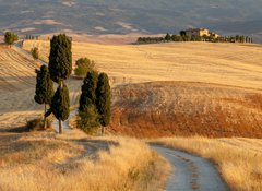 Fototapeta vliesov 100 x 73, 44861103 - Tuscan countryside at sunset, near Pienza, Tuscany, Italy