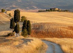 Fototapeta papr 160 x 116, 44861103 - Tuscan countryside at sunset, near Pienza, Tuscany, Italy