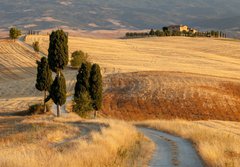 Fototapeta papr 184 x 128, 44861103 - Tuscan countryside at sunset, near Pienza, Tuscany, Italy - Tosknsk krajina pi zpadu slunce, nedaleko Pienza, Tosknsko, Itlie
