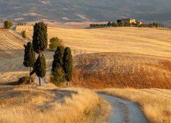 Samolepka flie 200 x 144  Tuscan countryside at sunset, near Pienza, Tuscany, Italy, 200 x 144 cm