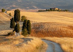 Fototapeta vliesov 200 x 144, 44861103 - Tuscan countryside at sunset, near Pienza, Tuscany, Italy