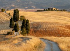 Fototapeta240 x 174  Tuscan countryside at sunset, near Pienza, Tuscany, Italy, 240 x 174 cm