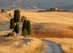 Fototapeta papr 254 x 184, 44861103 - Tuscan countryside at sunset, near Pienza, Tuscany, Italy - Tosknsk krajina pi zpadu slunce, nedaleko Pienza, Tosknsko, Itlie